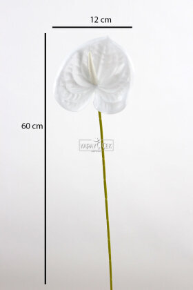 Yapay Islak Tekli Antoryum Dalı 60 cm Beyaz - 3