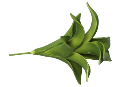 Yapay Çiçek Islak Succulent Aloe Magic 15 cm Yeşil - 2
