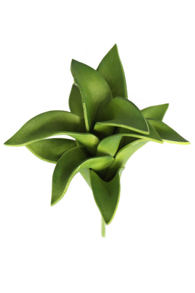 Yapay Çiçek Islak Succulent Aloe Magic 15 cm Yeşil - 3