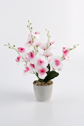 Yapay Saksıda 5 Dallı Islak Orkide Demeti 45 cm Beyaz - Pembe - 2