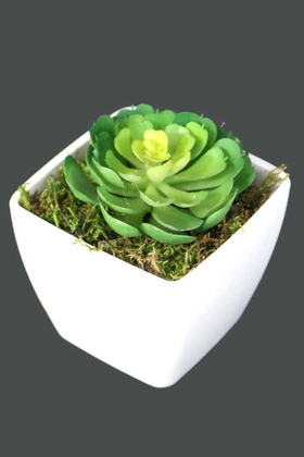 Melamin Saksıda Yapay Succulent Sukulent Pulidonis 9cm - Yapay Çiçek Deposu