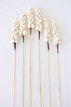 6lı Sholu Berries 50 cm - 1