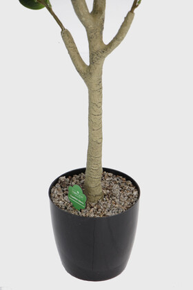 Yapay Ağac Lüx Kauçuk 150 cm - 4
