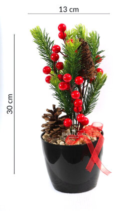 Yapay Kış Güneşi Kokina Tanzimi 30 cm - 3