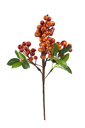 Yapay Köpük Kokina Dalı 35 cm Karamel - 3