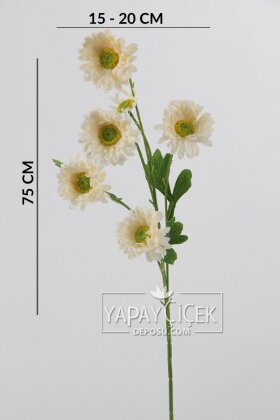 Yapay Çiçek 6 Çiçekli Fransız Gerberası Dalı 75 cm Krem - 4