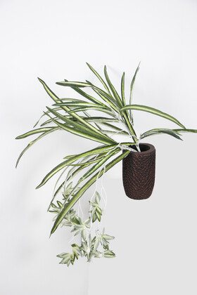 Yapay Sarkan Kurdela Bitkisi 60 cm - 3