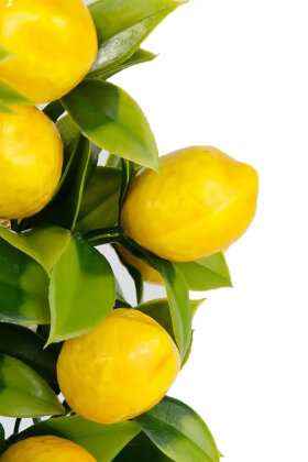 Yapay Limon Demeti 30 cm - 2
