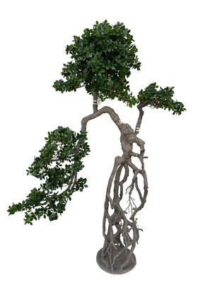 Yapay Lüx Bonsai Ağacı 190 cm KC-3566 - Koçaklar Çiçekçilik