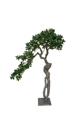 Yapay Lüx Bonsai Ağacı 100cm KC-3559 - Koçaklar Çiçekçilik