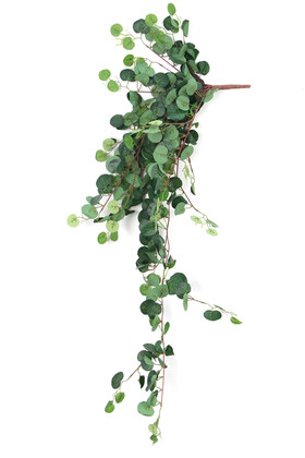 Yapay Kaliteli Dev Sarkan Okaliptus Sarmaşık 110 cm - 1
