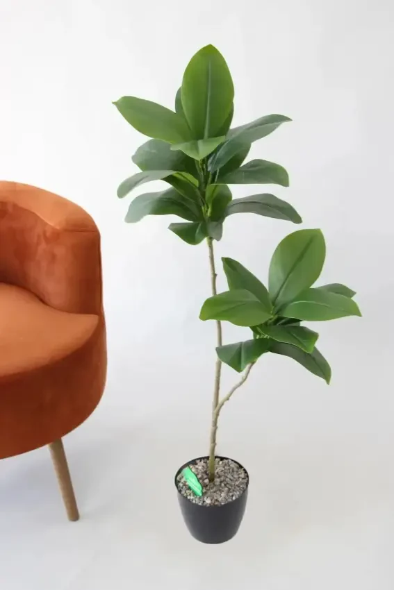 Yapay Ağac Kauçuk Bitkisi 2 Dallı 105 cm - Yapay Çiçek Deposu