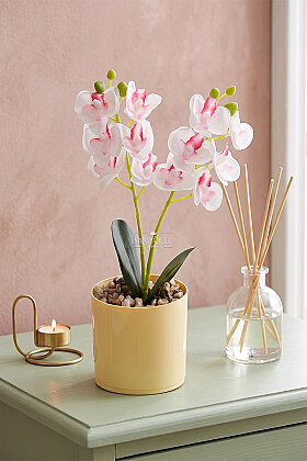 Saksıda Yapay Mini 2'li Mariposa Orkide Tanzimi 27 cm Beyaz-Pembe - Yapay Çiçek Deposu