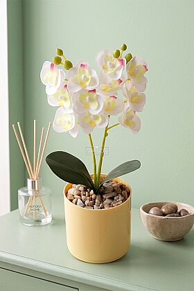 Saksıda Yapay Mini 2'li Mariposa Orkide Tanzimi 27 cm Beyaz - Yapay Çiçek Deposu