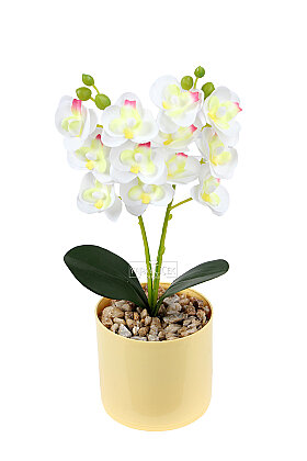 Saksıda Yapay Mini 2'li Mariposa Orkide Tanzimi 27 cm Beyaz - 2