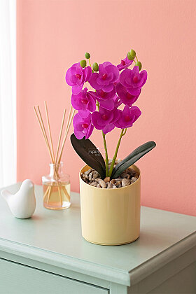Saksıda Yapay Mini 2'li Mariposa Orkide Tanzimi 27 cm Fuşya - Yapay Çiçek Deposu