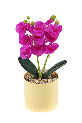 Saksıda Yapay Mini 2'li Mariposa Orkide Tanzimi 27 cm Fuşya - 2