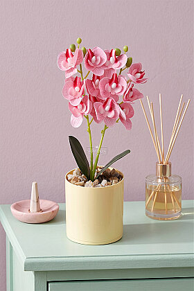 Saksıda Yapay Mini 2'li Mariposa Orkide Tanzimi 27 cm Pembe Çizgili - Yapay Çiçek Deposu