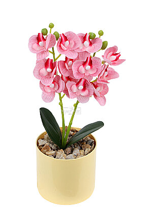 Saksıda Yapay Mini 2'li Mariposa Orkide Tanzimi 27 cm Pembe Çizgili - 2