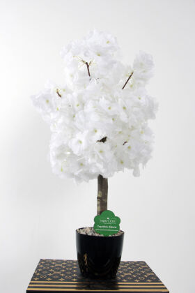 Yapay Mini Bahar Dalı Ağacı 55 cm Beyaz - Yapay Çiçek Deposu