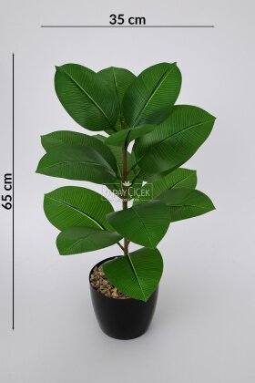 Yapay Mini Kauçuk Bitkisi 65 cm - 4