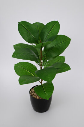 Yapay Mini Kauçuk Bitkisi 65 cm - 2