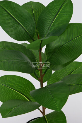 Yapay Mini Kauçuk Bitkisi 65 cm - 3