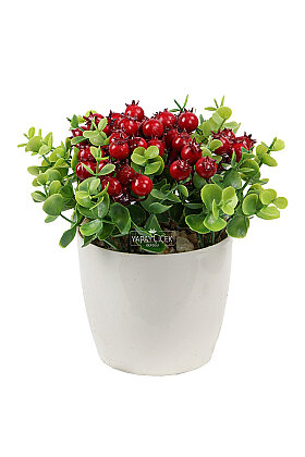 Saksıda Mini Yapay Bodur Nar 18 cm - 2