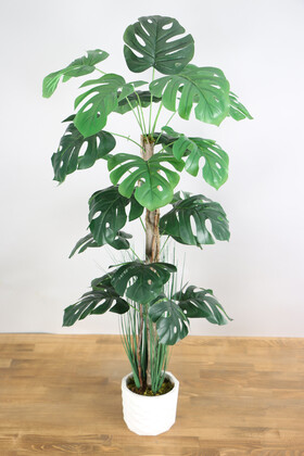 Yapay Monstera Ağacı 105 cm - 2