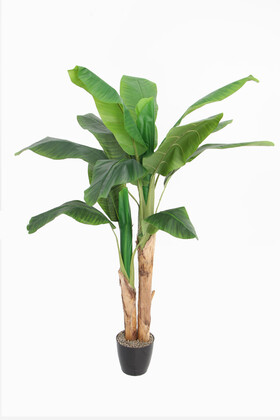 Yapay Muz Ağacı Saksılı 160 cm - 3