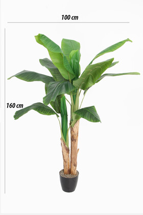 Yapay Muz Ağacı Saksılı 160 cm - 2