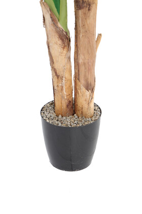 Yapay Muz Ağacı Saksılı 160 cm - 5