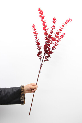 Yapay Retro Pastel Okaliptus Dalı 80 cm Bordo - 2