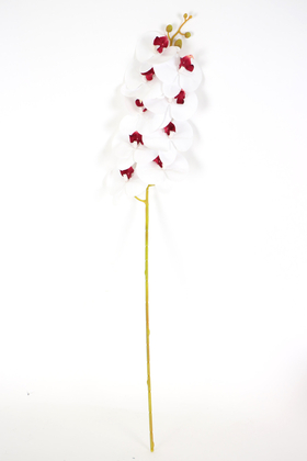 Yapay Dal Baskılı Orkide Çiçeği 88 cm Beyaz Bordo - 3