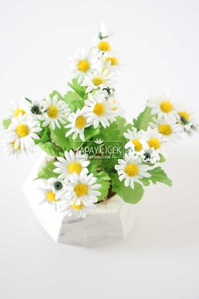 Dekoratif Beton Saksıda Papatya Tanzimi 20 cm - 2