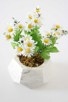 Dekoratif Beton Saksıda Papatya Tanzimi 20 cm - 3