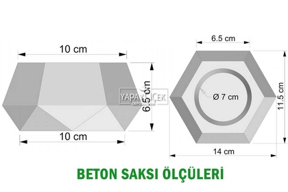 Dekoratif Beton Saksıda Papatya Tanzimi 20 cm - 4