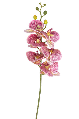 Yapay Pastel Islak Orkide Çiçeği 90 cm Lila Benekli - 1