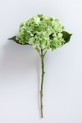 Yapay Pıtırcıklı Ortanca Dalı 50 cm Yeşil - 3