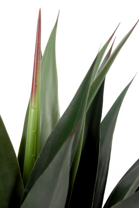 Yapay Premium 20 Yapraklı Agave Kaktüs Ağacı 105 cm - 5