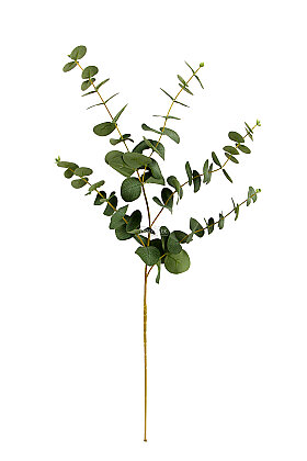 Yapay Premium Gerçekçi Okaliptus Dalı 95 cm Yeşil - 3