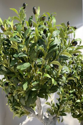 Yapay Ağaç Prestige Zeytin Ağacı 240 cm - 3
