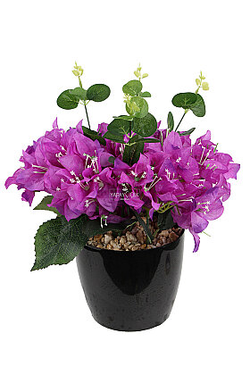Yapay Çiçek Saksıda Akdeniz Begonvili Tanzimi 36 cm Mor - 2