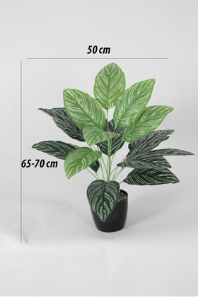 Yapay Dua Bitkisi 18 Yapraklı Siyah Saksıda 65 cm Yeşil-Beyaz - 2