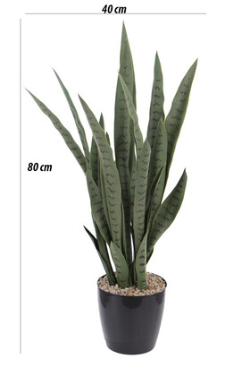 Yapay Paşa Kılıcı Sansevieria Bitkisi 35 Yapraklı 80 cm - 2
