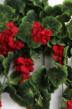 Yapay Lüx Sarkan Sardunya 80 cm Kırmızı - 4