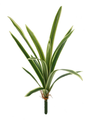 Yapay Lüx Kılıç Bitkisi Krem-Yeşil 60 cm - 1