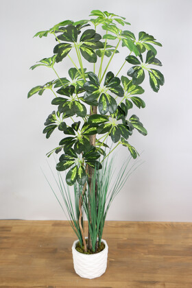 Yapay Şeflera Ağacı 105 cm Yeşil-Sarı - 1