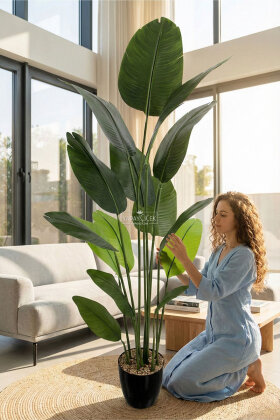 Siyah Saksıda Yapay 15 Yapraklı Alba Starliçe Ağacı 190 cm - Yapay Çiçek Deposu