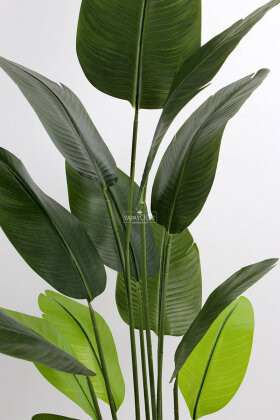 Siyah Saksıda Yapay 15 Yapraklı Alba Starliçe Ağacı 190 cm - 4